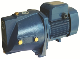 BƠM NƯỚC MJSW/10M - 750W